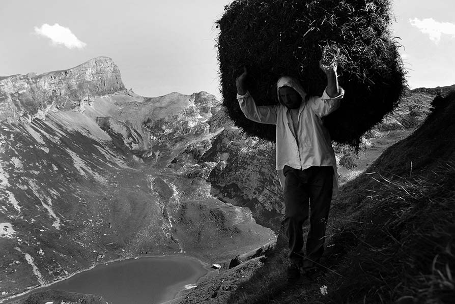 Beim Wildiheuen, Uri, Schweiz 2009.